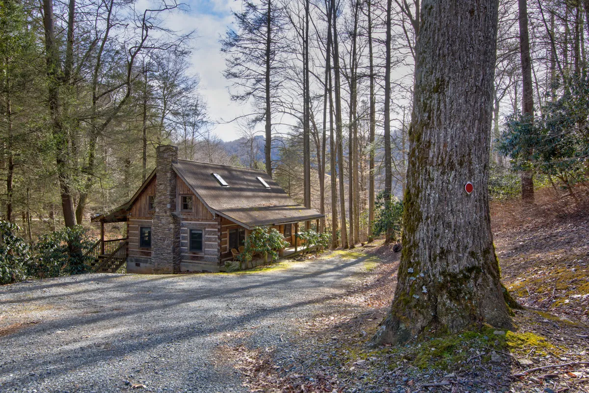 A peaceful log cabin is framed by tall trees and a gravel driveway, with a classic front porch that hints at afternoons spent relaxing and evenings by a firepit. The natural setting invites exploration of nearby nature trails and quiet moments with loved ones.